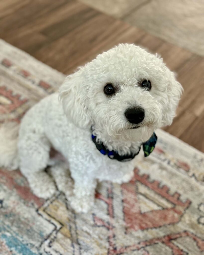 Marv-Cropped