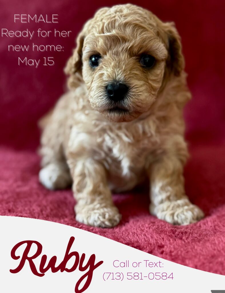 Ruby